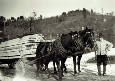 Georges Menétrey en 1925 avec ses chevaux